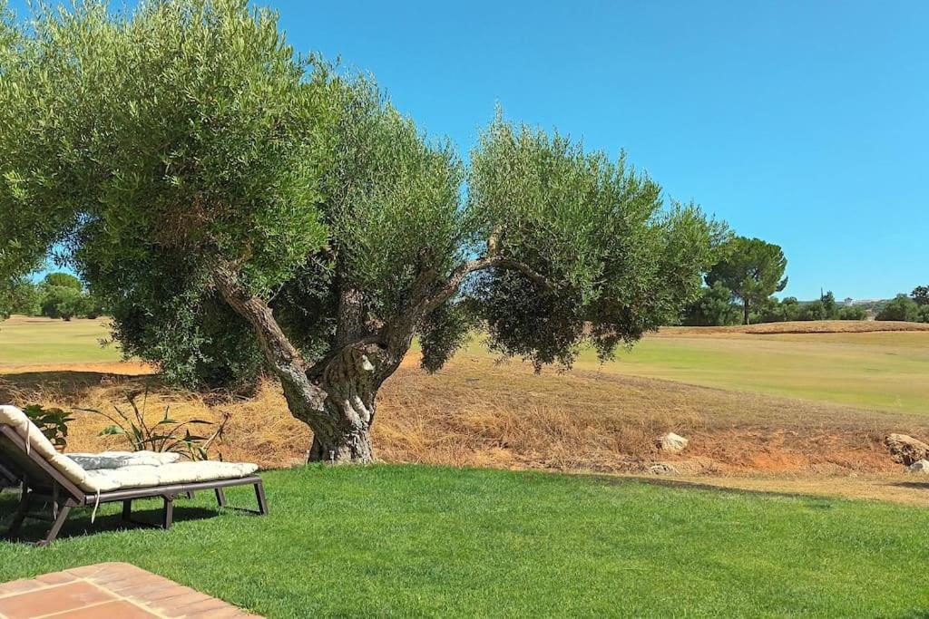 Casa Los Olivos Аркос де ла Фронтера Экстерьер фото
