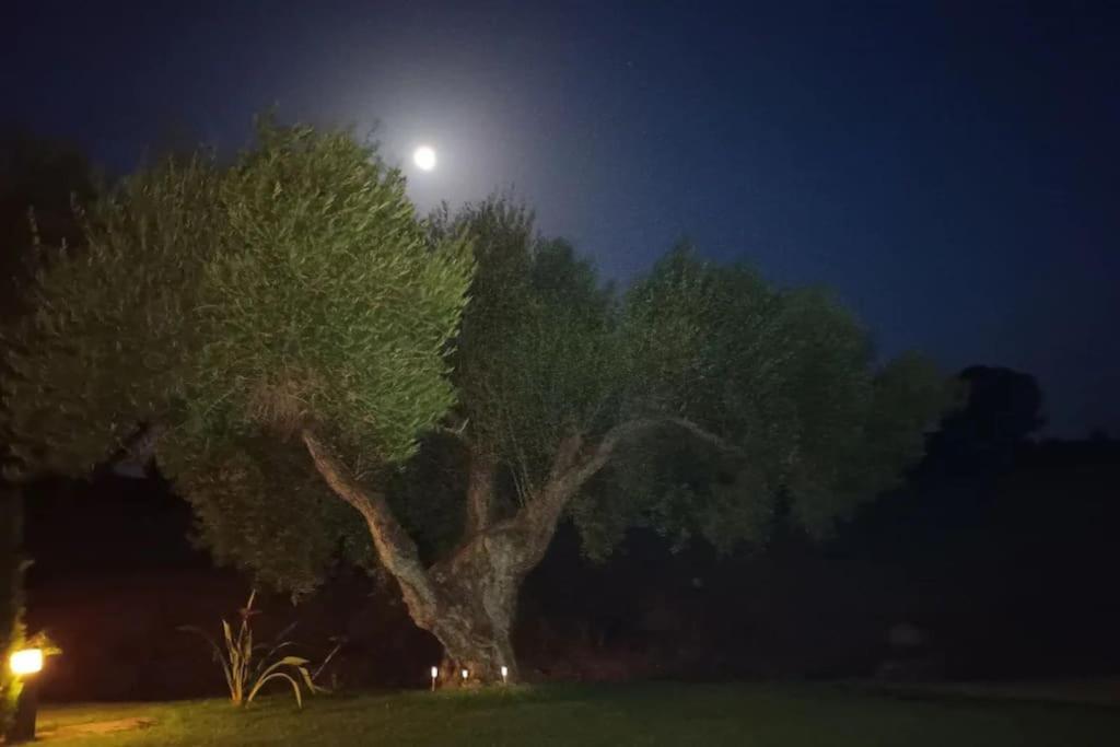 Casa Los Olivos Аркос де ла Фронтера Экстерьер фото